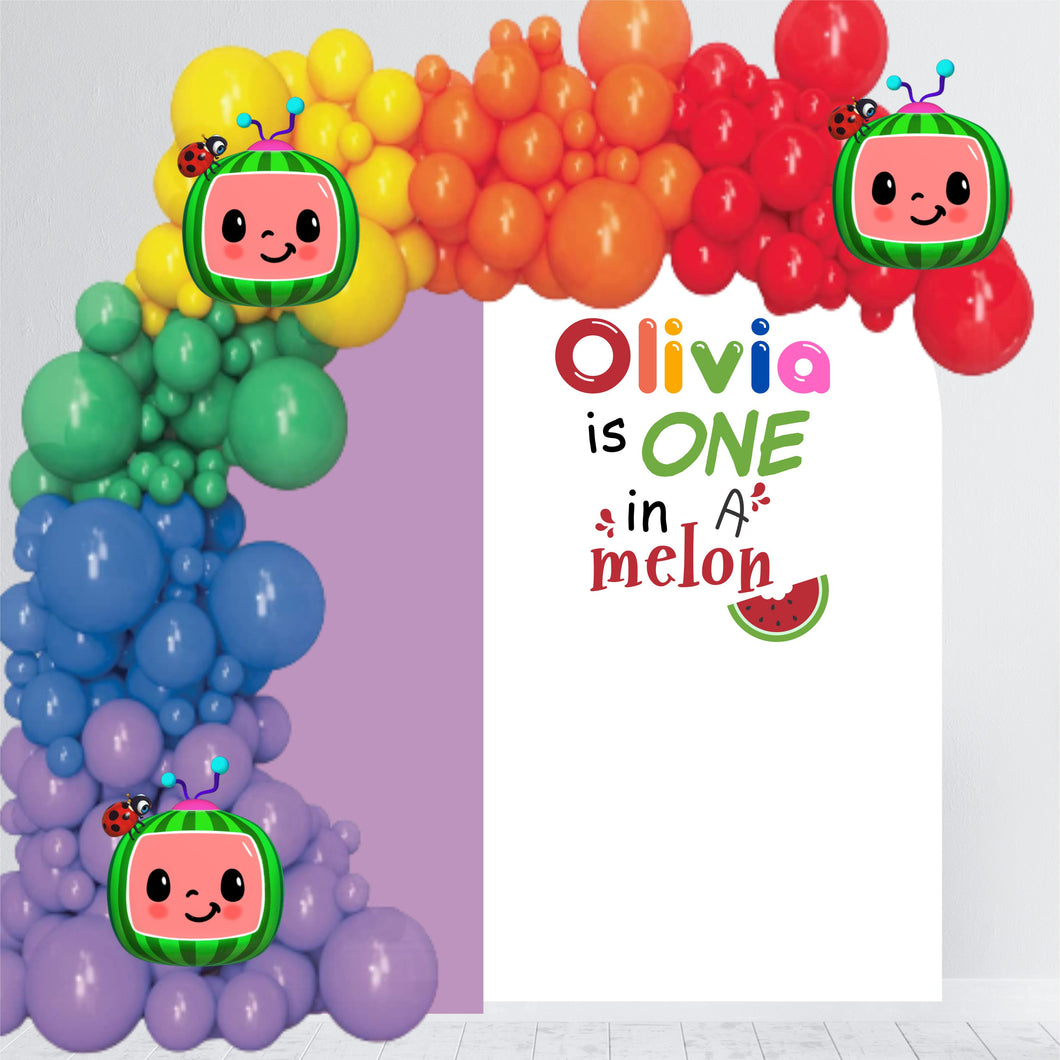 One in a Melon Party Backdrop Sticker - Happy Birthday Party Backdrop - First Birthday for Balloon Arch - Melon Theme Birthday
