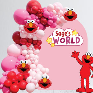 Personalized Name World Birthday Decal - Happy Birthday Backdrop - Girls World Theme Birthday Sticker for Balloon Arch - ABC Birthday Sticker - Elmo Party Prop - Treatbox Stickers - Sesame Street Theme Birthday
