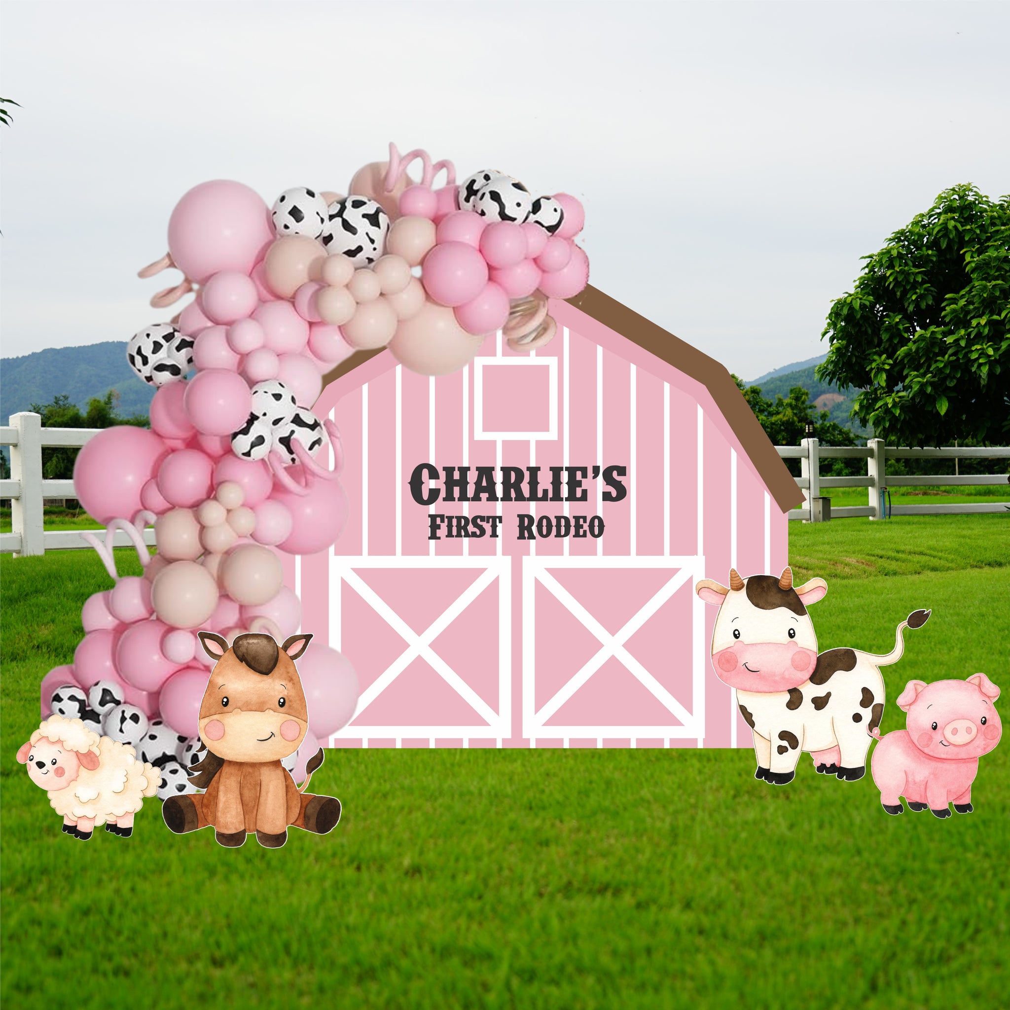 Farm Party Set - Farm Themed Birthday Party - First Rodeo - Barn Backd ...