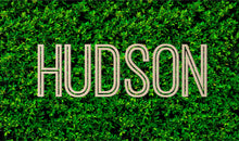 Load image into Gallery viewer, Custom Wood Name Sign | Nursery Name Sign | Personalized Name Sign | Wooden Name | Wood Letters - Painted or Unfinished