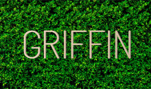 Load image into Gallery viewer, Custom Wood Name Sign | Nursery Name Sign | Personalized Name Sign | Wooden Name | Wood Letters