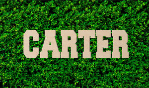 Custom Wood Name Sign | Nursery Name Sign | Personalized Name Sign | Wooden Name | Wood Letters - Painted or Unfinished