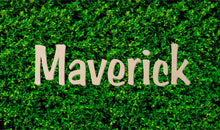 Load image into Gallery viewer, Custom Wood Name Sign | Nursery Name Sign | Personalized Name Sign | Wooden Name | Wood Letters