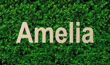 Load image into Gallery viewer, Custom Wood Name Sign | Nursery Name Sign | Personalized Name Sign | Wooden Name | Wood Letters - Painted or Unfinished