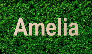 Custom Wood Name Sign | Nursery Name Sign | Personalized Name Sign | Wooden Name | Wood Letters - Painted or Unfinished